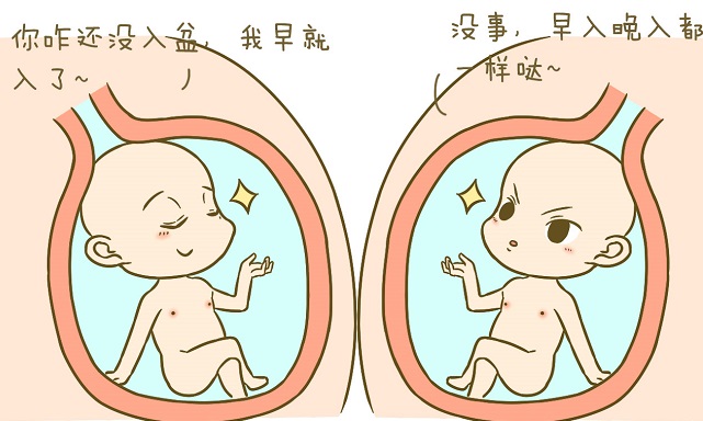 台湾60岁a卵b怀：如何在24周四维超声检查中分辨男女（超声检查看男孩和女孩的技巧）。